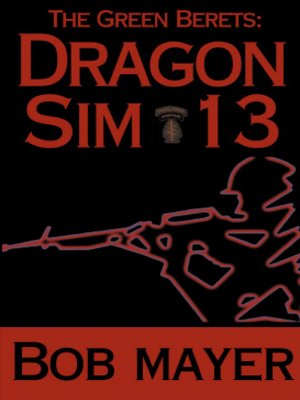 cover image of Dragon Sim 13